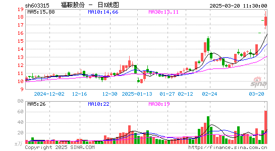 福鞍股份