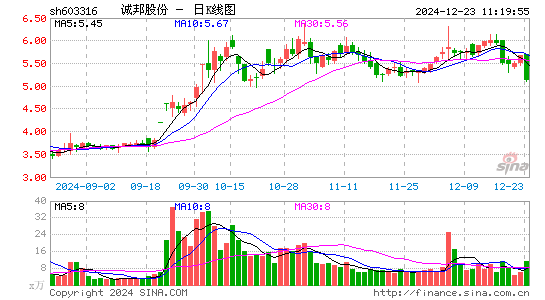 诚邦股份