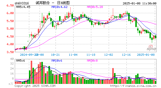 诚邦股份