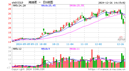 湘油泵