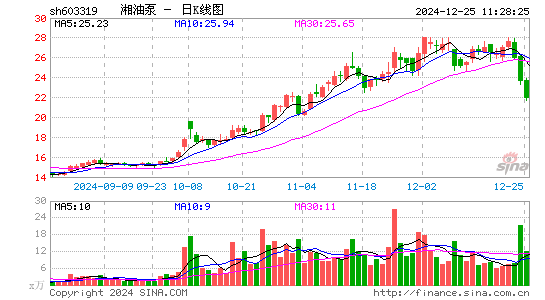 湘油泵