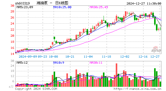 湘油泵