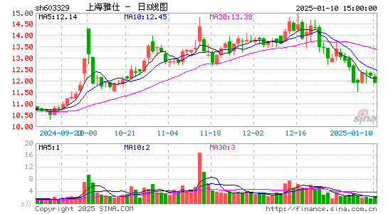 上海雅仕