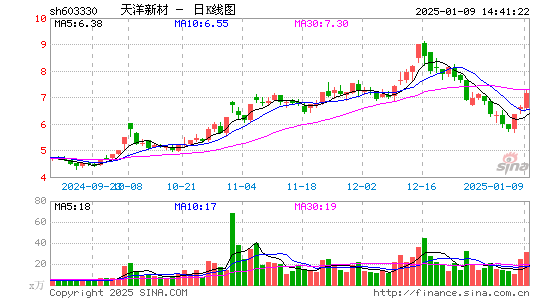 上海天洋