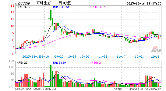 ������̬