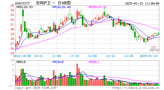 安邦护卫