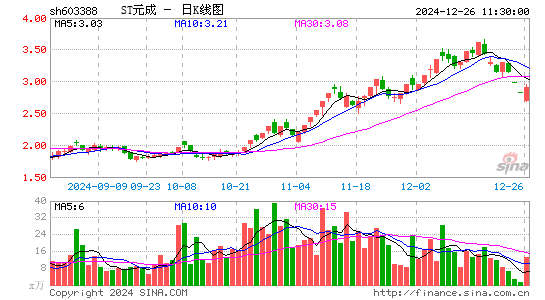 元成股份