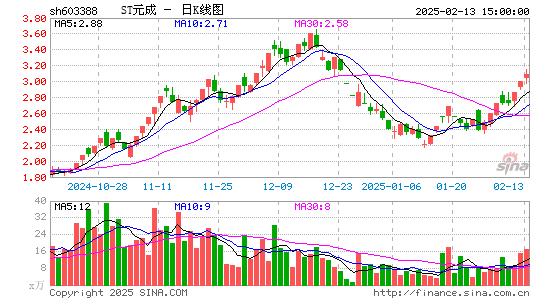 元成股份