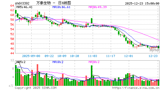 ��̩����