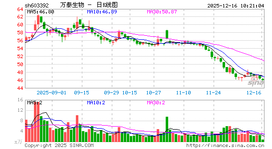 ��̩����