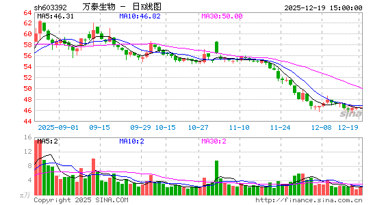 ��̩����