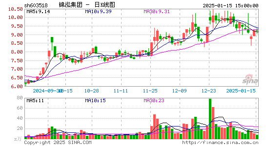 锦泓集团