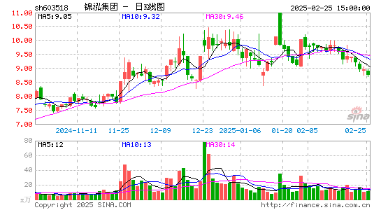 锦泓集团