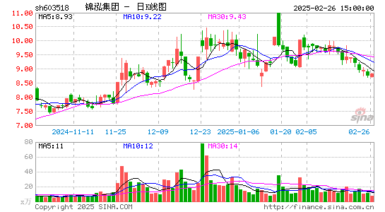 锦泓集团