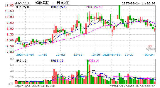 锦泓集团