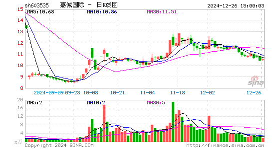 嘉诚国际