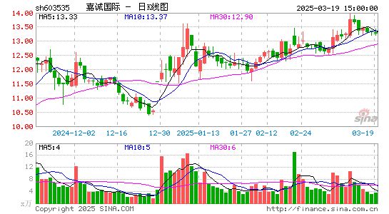 嘉诚国际