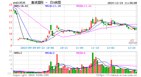 嘉诚国际