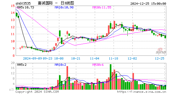 嘉诚国际