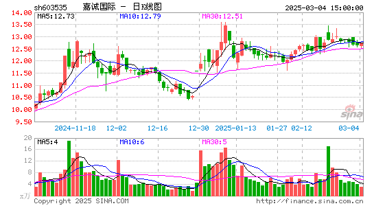 嘉诚国际