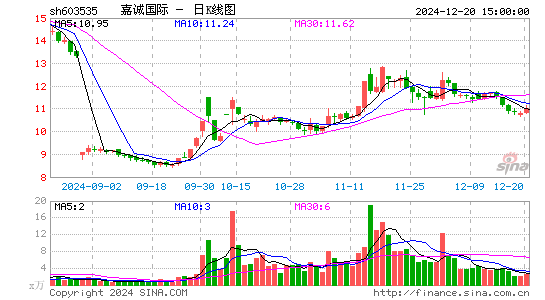 嘉诚国际