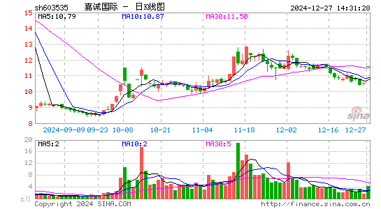 嘉诚国际