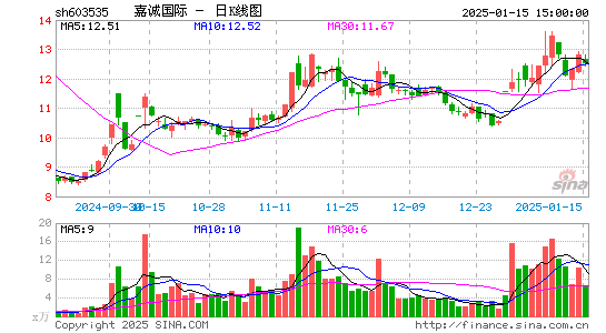 嘉诚国际