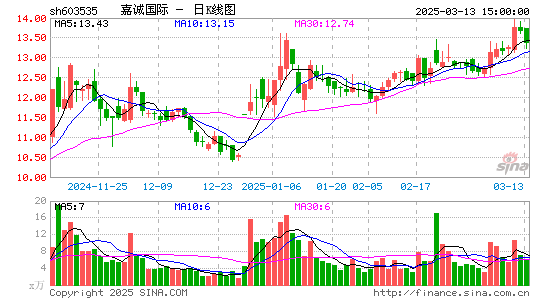 嘉诚国际