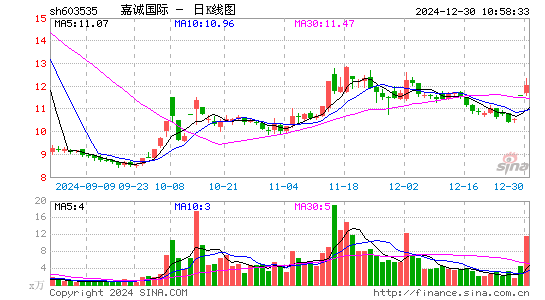 嘉诚国际