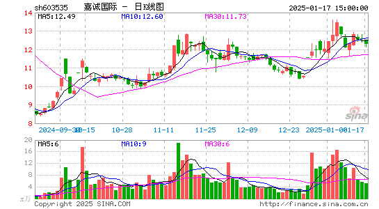 嘉诚国际