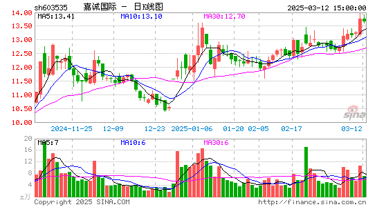 嘉诚国际