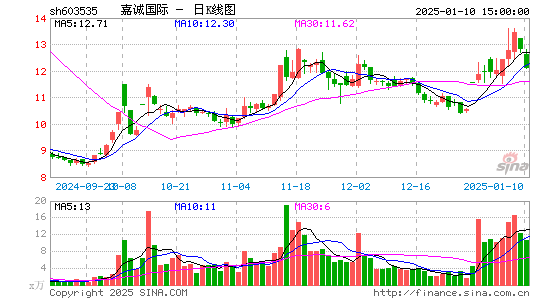 嘉诚国际