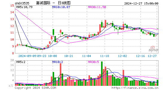 嘉诚国际