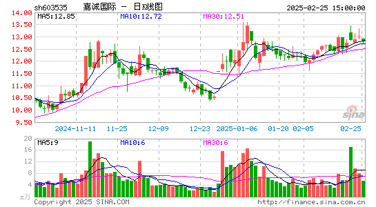 嘉诚国际