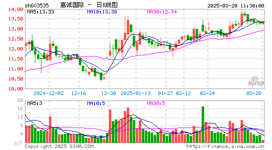 嘉诚国际