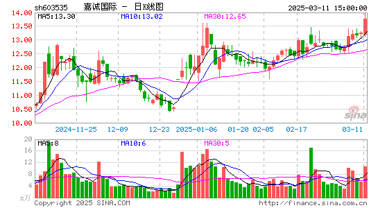 嘉诚国际