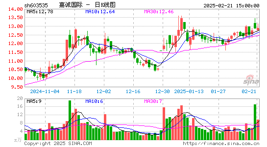 嘉诚国际