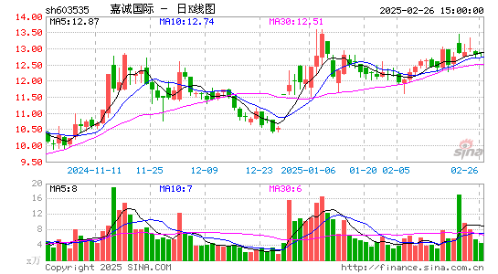 嘉诚国际