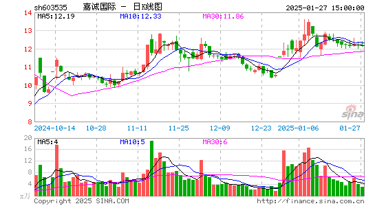 嘉诚国际