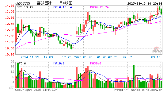 嘉诚国际