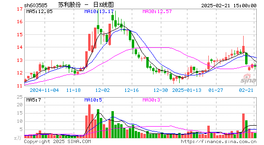 苏利股份