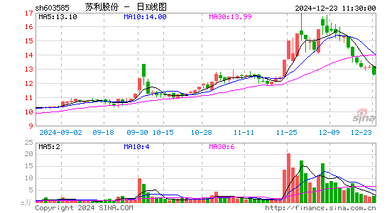 苏利股份