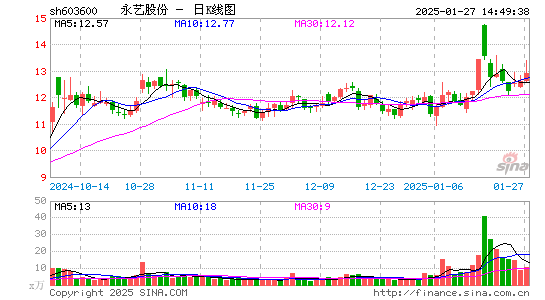 永艺股份