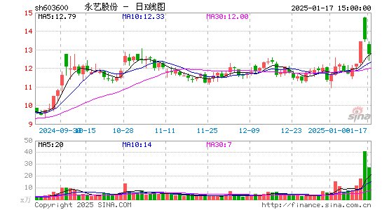 永艺股份