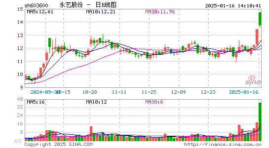 永艺股份