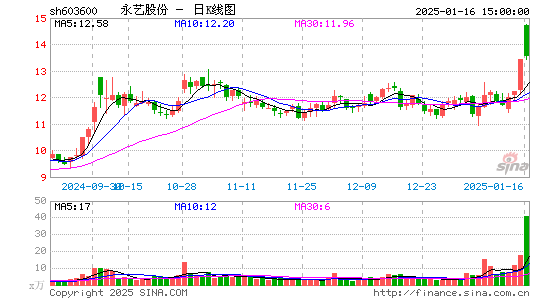 永艺股份