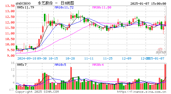 永艺股份