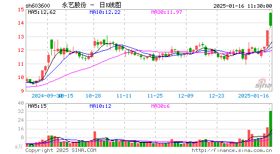 永艺股份