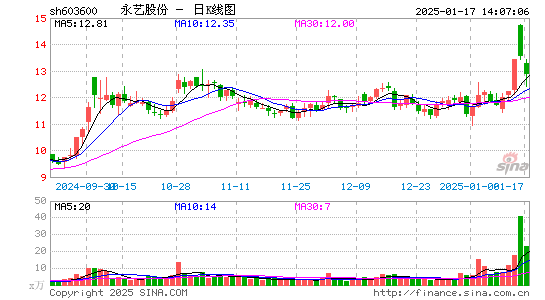 永艺股份