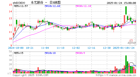 永艺股份